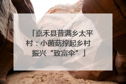 嘉禾县普满乡太平村：小菌菇撑起乡村振兴“致富伞”