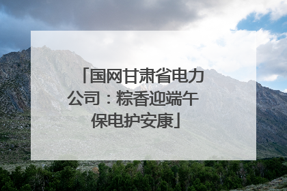 国网甘肃省电力公司：粽香迎端午 保电护安康