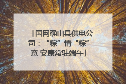 国网确山县供电公司：“粽”情“粽”意 安康常驻端午