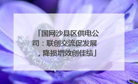 国网沙县区供电公司：联创交流促发展，降损增效创佳绩