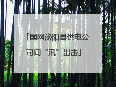 国网泌阳县供电公司闻“汛”出击