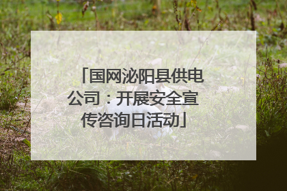 国网泌阳县供电公司：开展安全宣传咨询日活动