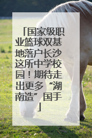 国家级职业篮球双基地落户长沙这所中学校园！期待走出更多“湖南造”国手