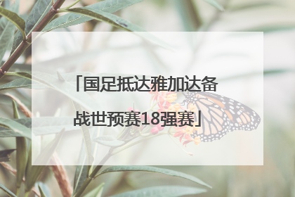 国足抵达雅加达备战世预赛18强赛