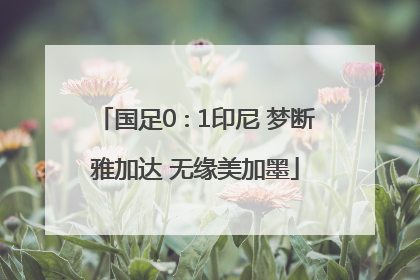 国足0∶1印尼 梦断雅加达 无缘美加墨