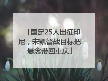 国足25人出征印尼，宋凯督战目标把悬念带回重庆