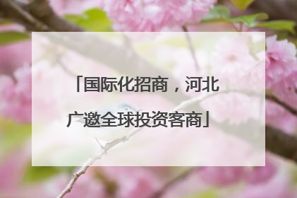 国际化招商，河北广邀全球投资客商