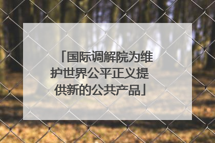 国际调解院为维护世界公平正义提供新的公共产品