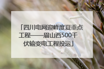 四川电网迎峰度夏重点工程——眉山西500千伏输变电工程投运