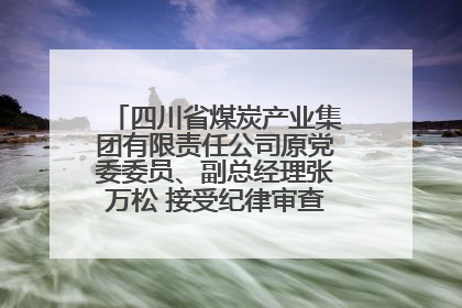 四川省煤炭产业集团有限责任公司原党委委员、副总经理张万松 接受纪律审查和监察调查
