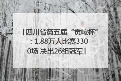 四川省第五届“贡嘎杯”：1.88万人比赛3300场 决出26组冠军