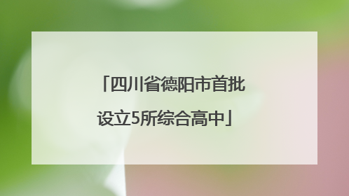四川省德阳市首批设立5所综合高中