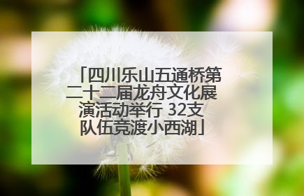 四川乐山五通桥第二十二届龙舟文化展演活动举行 32支队伍竞渡小西湖