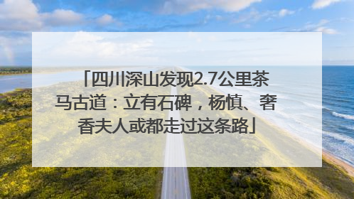 四川深山发现2.7公里茶马古道：立有石碑，杨慎、奢香夫人或都走过这条路