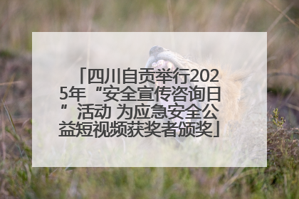 四川自贡举行2025年“安全宣传咨询日”活动 为应急安全公益短视频获奖者颁奖