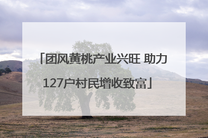 团风黄桃产业兴旺 助力127户村民增收致富