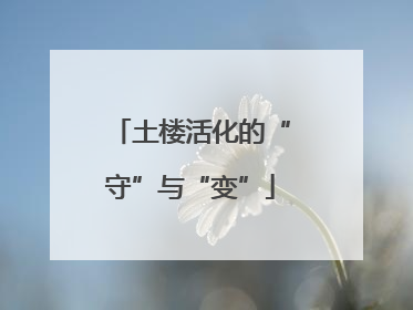 土楼活化的“守”与“变”
