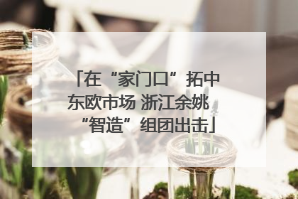 在“家门口”拓中东欧市场 浙江余姚“智造”组团出击