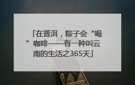 在普洱，粽子会“喝”咖啡——有一种叫云南的生活之365天