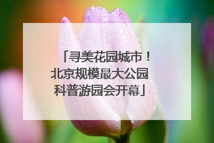 寻美花园城市！北京规模最大公园科普游园会开幕