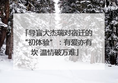 导盲犬杰瑞对宿迁的“初体验”：有爱亦有坎 温情破万难