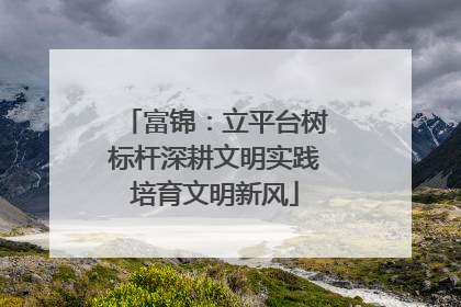 富锦：立平台树标杆深耕文明实践培育文明新风