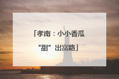 孝南：小小香瓜 “甜”出富路