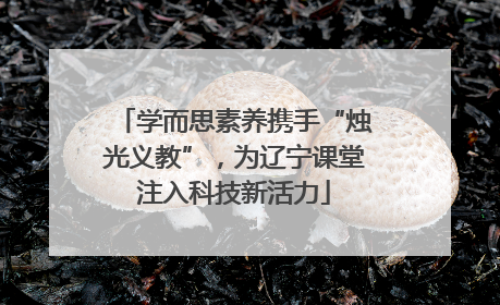 学而思素养携手“烛光义教”，为辽宁课堂注入科技新活力
