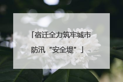 宿迁全力筑牢城市防汛“安全堤”