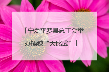 宁夏平罗县总工会举办插秧“大比武”