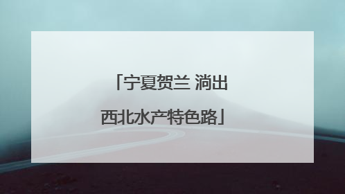 宁夏贺兰 淌出西北水产特色路