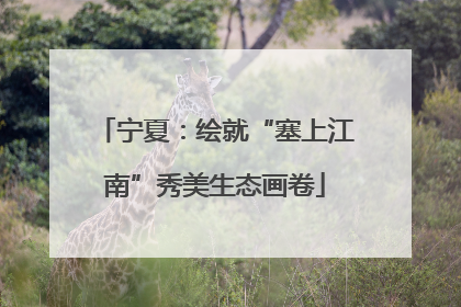 宁夏：绘就“塞上江南”秀美生态画卷