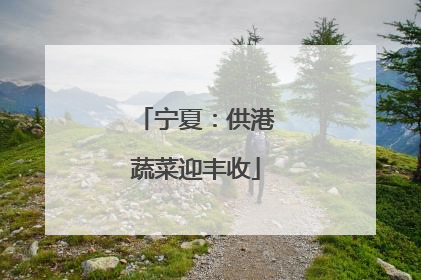 宁夏：供港蔬菜迎丰收