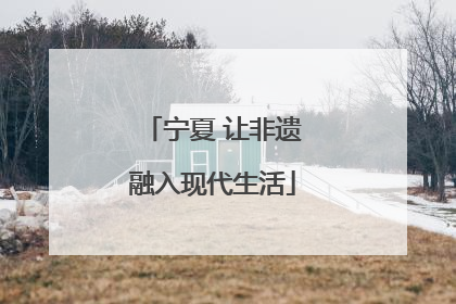 宁夏 让非遗融入现代生活