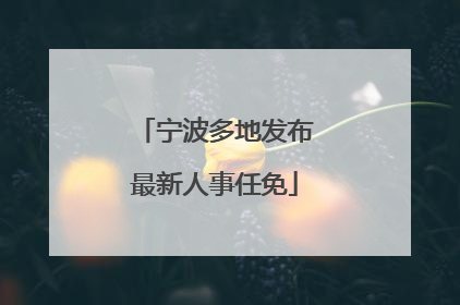 宁波多地发布最新人事任免