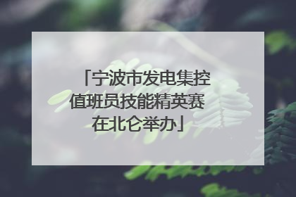 宁波市发电集控值班员技能精英赛在北仑举办