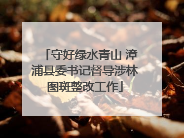 守好绿水青山 漳浦县委书记督导涉林图斑整改工作