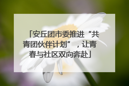 安丘团市委推进“共青团伙伴计划”，让青春与社区双向奔赴