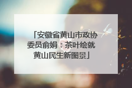 安徽省黄山市政协委员俞娟：茶叶绘就黄山民生新图景