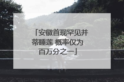安徽首现罕见并蒂睡莲 概率仅为百万分之一