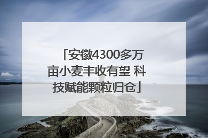 安徽4300多万亩小麦丰收有望 科技赋能颗粒归仓