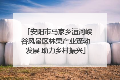 安阳市马家乡洹河峡谷风景区林果产业蓬勃发展 助力乡村振兴