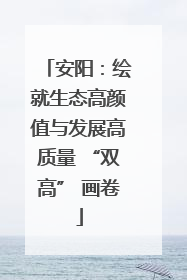 安阳：绘就生态高颜值与发展高质量 “双高” 画卷