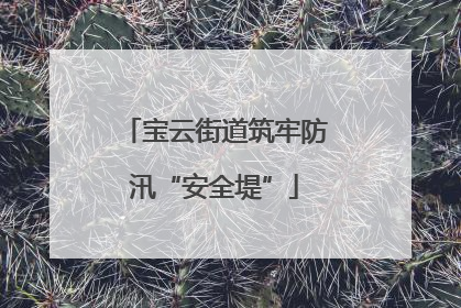 宝云街道筑牢防汛“安全堤”