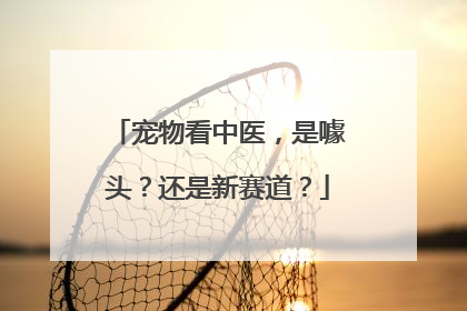 宠物看中医，是噱头？还是新赛道？