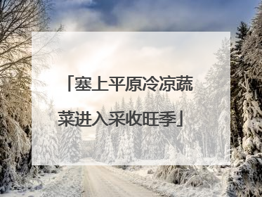 塞上平原冷凉蔬菜进入采收旺季
