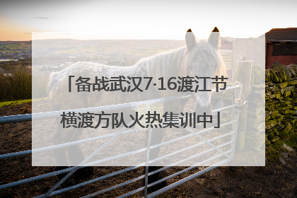 备战武汉7·16渡江节 横渡方队火热集训中