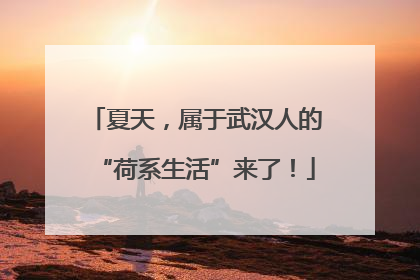 夏天，属于武汉人的“荷系生活”来了！