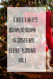 夏日秦巴腹地美如画 朱鹮在稻田里飞舞嬉戏