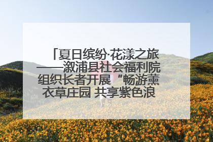 夏日缤纷·花漾之旅——溆浦县社会福利院组织长者开展“畅游薰衣草庄园 共享紫色浪漫”户外活动